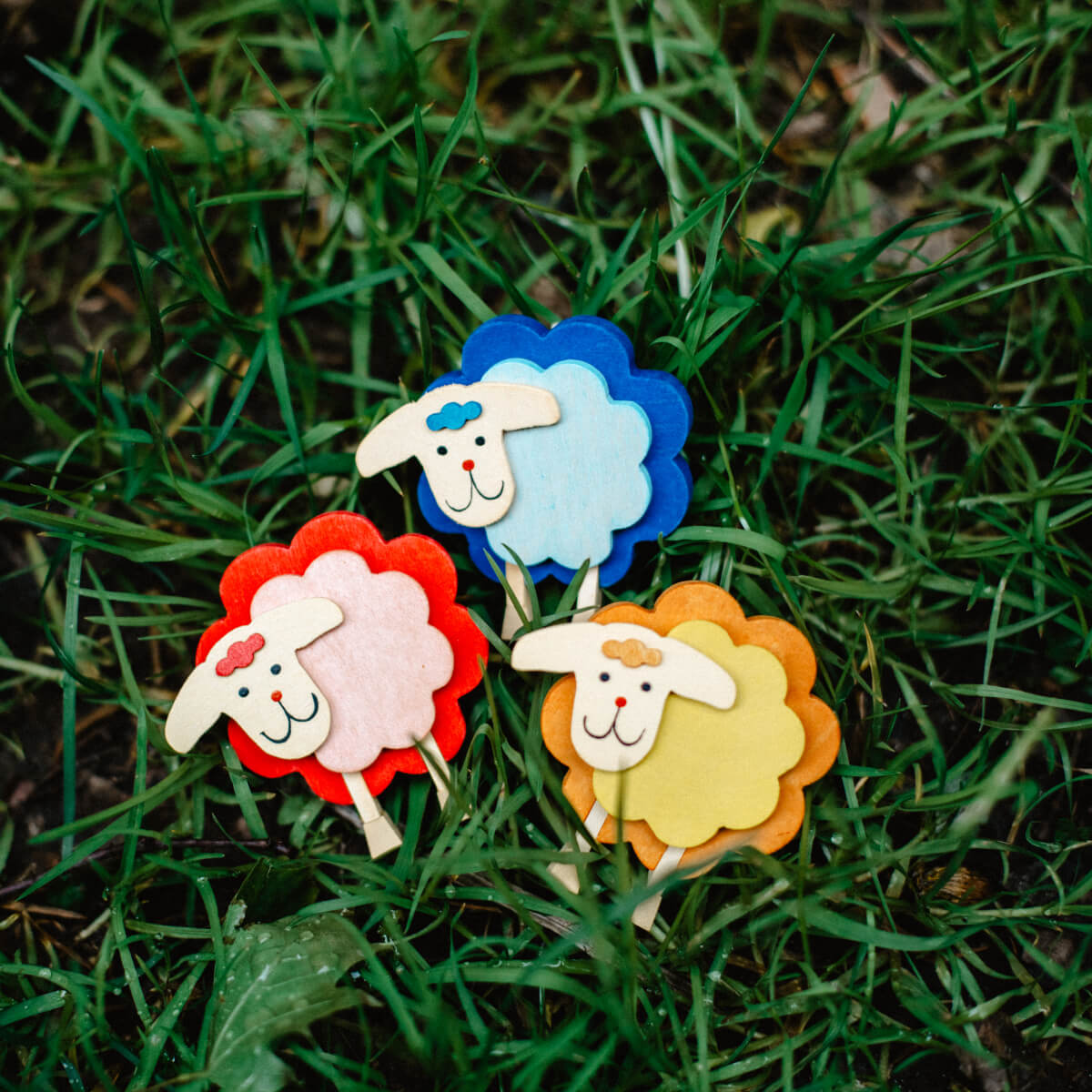 Schaf mit Klammer blau