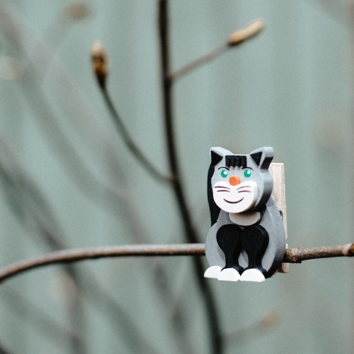 Katze mit Klammer